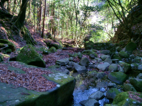 百間山渓谷