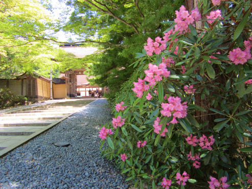 金剛峯寺