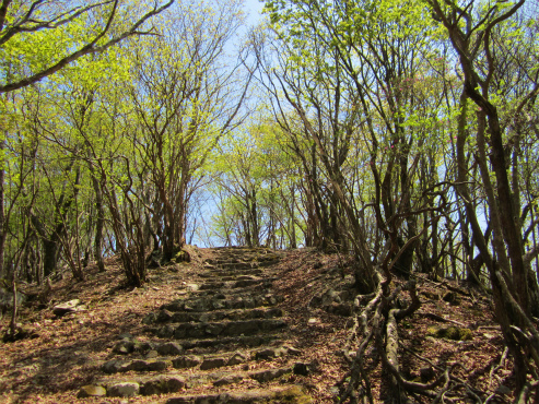 護摩壇山