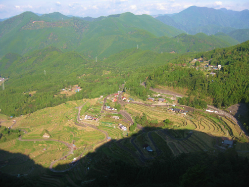 丸山千枚田