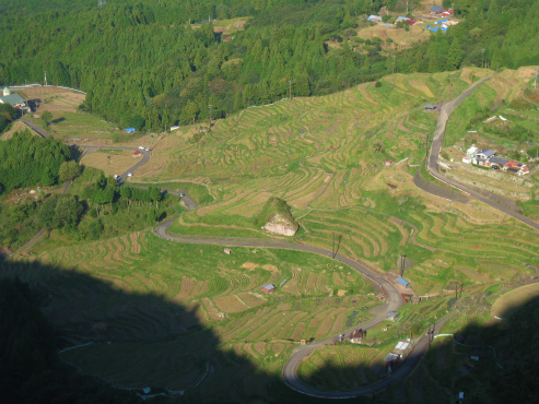 丸山千枚田