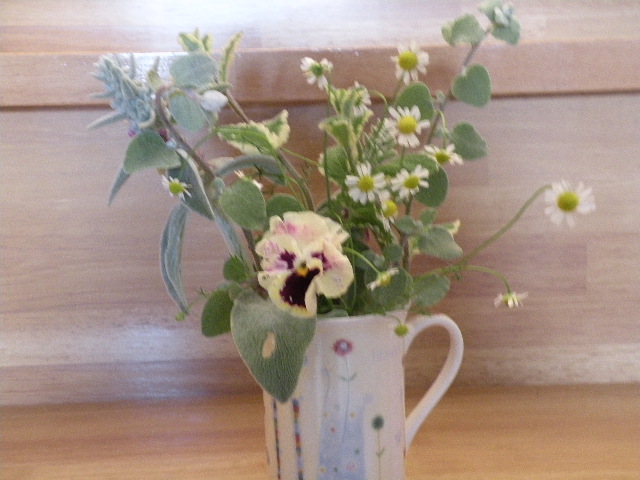 ミニミニアレジメント？？