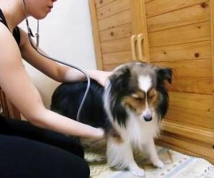 心拍に　異常なし