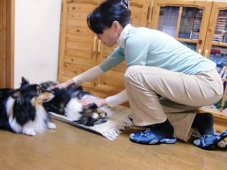 緩和のホリスティックマッサージ