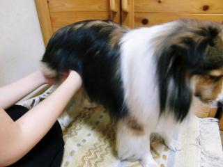 脈拍　不整脈がでていますが　心配ない程度です