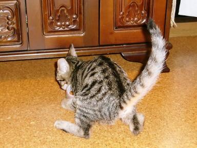 何だ？　何みっけ？？