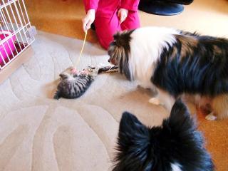 みんなで遊ぼう♪＾＾