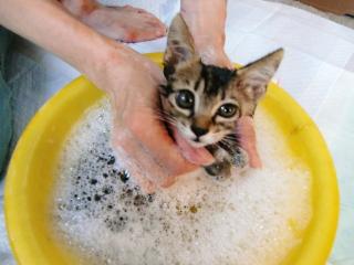 健康な皮膚と体質を養うために赤ちゃんのときから沐浴に慣らせます＾＾