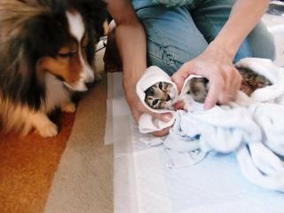 けっこう気持ちいいにゃぁ～♪