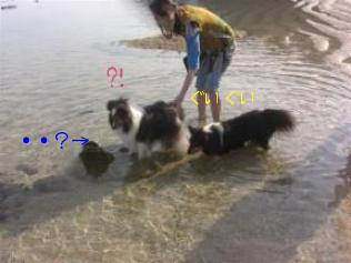 シルちゃん　入って　入って♪　「・・ギョッ！・・何コレ？？　」　