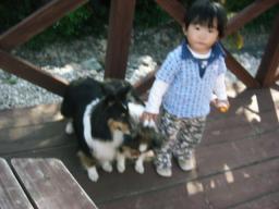 ＢＲ・シルフィお留守番。海くんに遊んでもらってね(^-^*)b