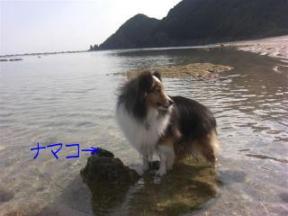 ママＢＲ　どこ？？　