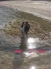 私はココよ♪今いくわぁ♪