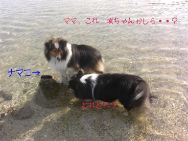 （ママＢＲ、これ咲ちゃんかしら・・？）　（どれどれ？）