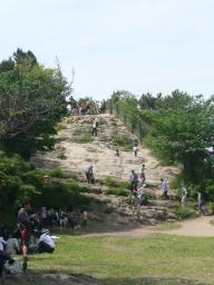 太平山
