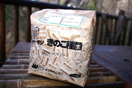 森林組合で購入したしいたけ菌