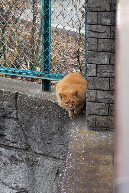 なんだ？やんのかてめぇ