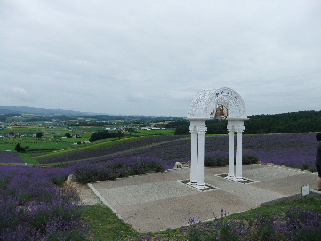 2011_07312011・7月上富良野0102.JPG