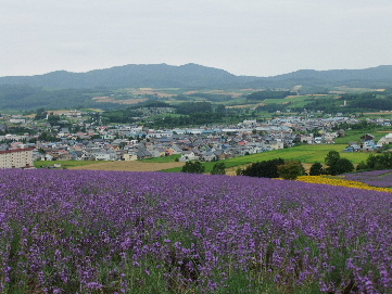 2011_07312011・7月上富良野0099.JPG