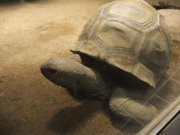 2011_09282011・9月動物園0027.JPG