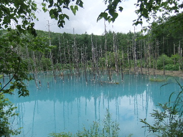 2011_07312011・7月上富良野0130.JPG