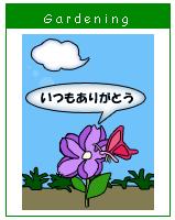 flower8.jpeg