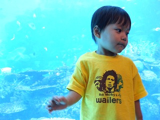 お魚さんたちこんにちは～♪