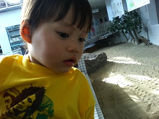 亀さんおおっきいねぇ～。