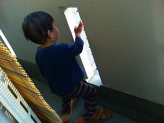 ここから見る外の景色はたまらんです。