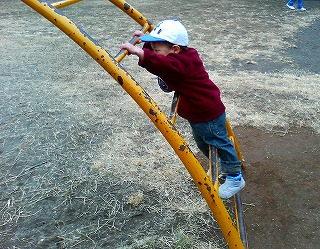 うんせっ。うんせっ。