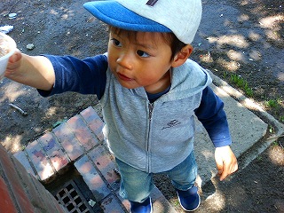 ジョーをしないと気がすまないのだ。