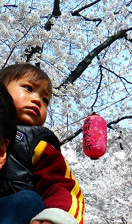 シャック～がいっぱいです～♪