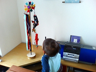 うわぁ～！鯉のぼり～～～♪