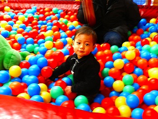 ボールのプール、結構いいもんだよ♪