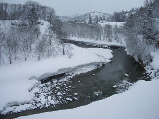 部屋からの風景