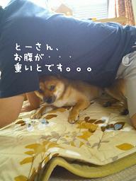 重いとです