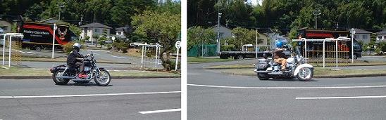 ハーレー試乗会