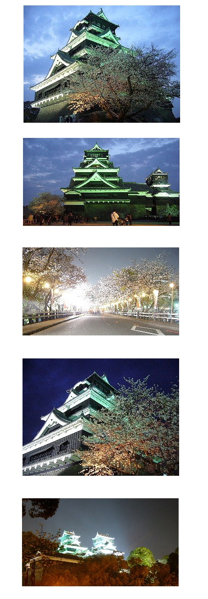 花見　ツーリング　5枚