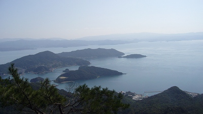 P1070068.jpg