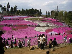 20070421羊山公園４