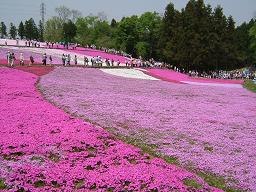 2005.04.30羊山公園３