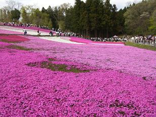 20070421羊山公園１