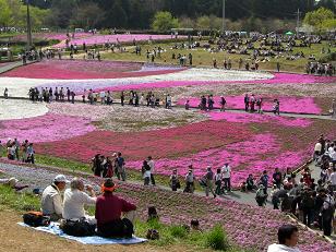 20070421羊山公園３