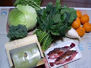 4/3の頂き物