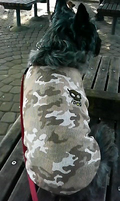 ちょっと休憩中