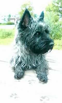 泥だらけ・・・