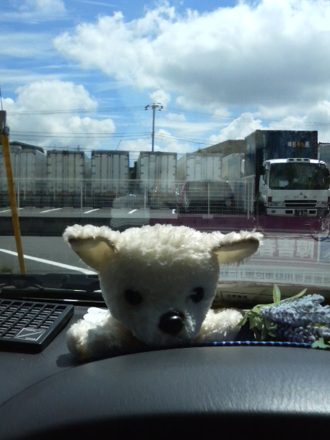 2008.8.31の車中からの夏空