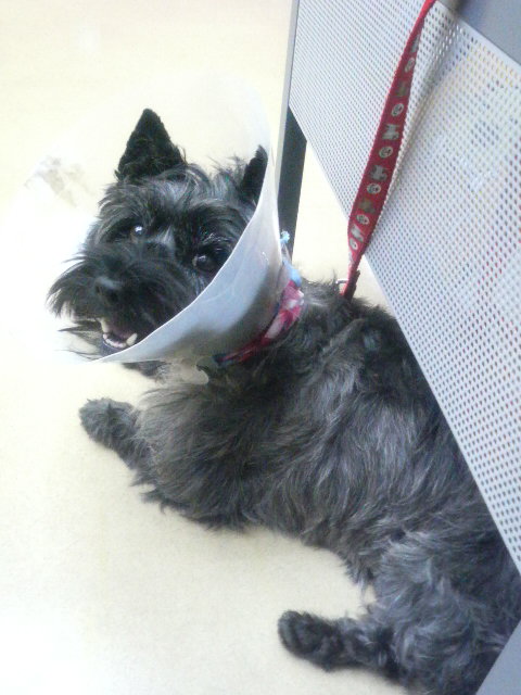 病院の待合室で