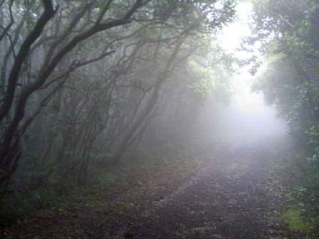 080830_131220.JPG