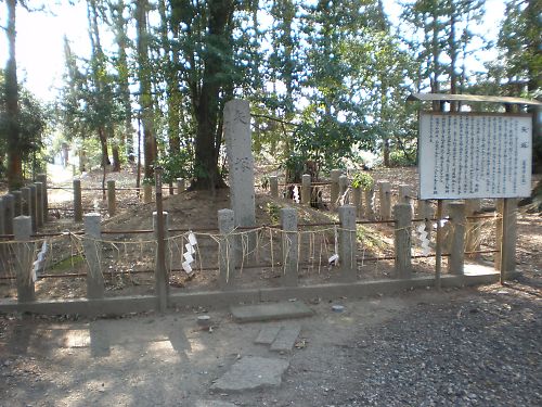 20110403Hodugawa016s